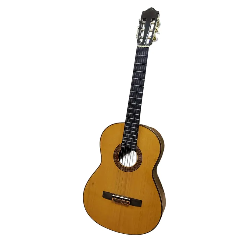 Avila 4Bw92 6-Strings Acoustic Guitar W/Hardcase 1