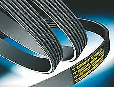 Bmw Vw V-Ribbed Belt 1