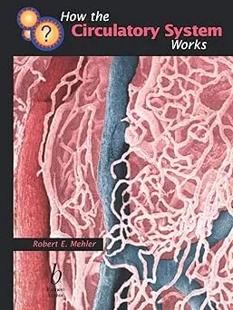 How The Circulatory System Works 1