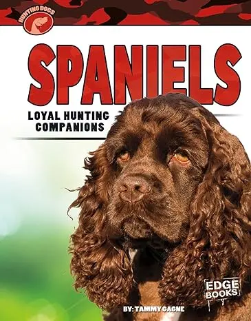 Spaniels: Loyal Hunting Companions 1
