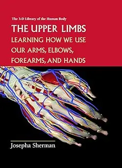 The Upper Limbs: Learning About How We Use Our Arms, Elbows, Forearms, And Hands 1