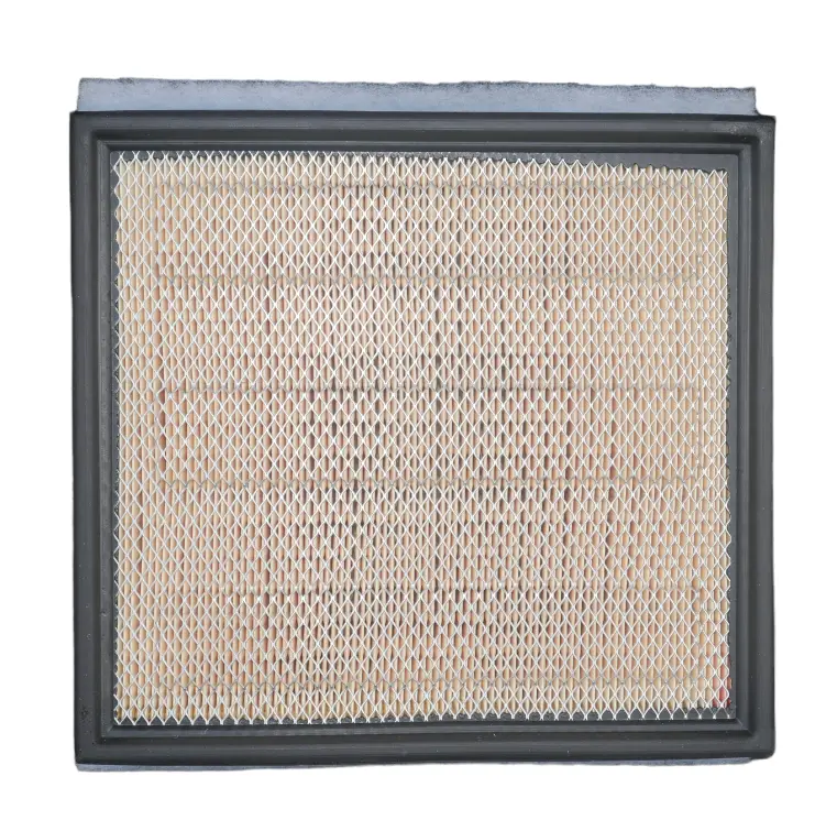 Wa10905 Air Filter Panel 1